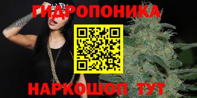 гашик Бугуруслан