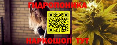 гашик Бугуруслан