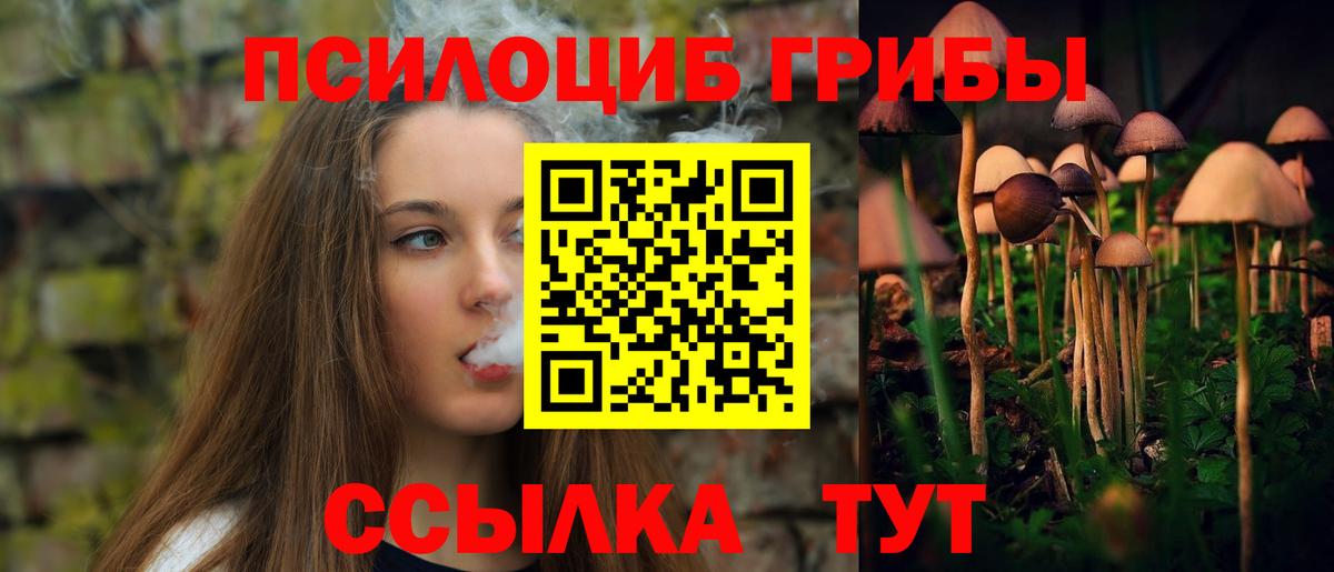 Шарыпово  где купить наркоту  Галлюциногенные грибы Magic Shrooms  Вход с VPN  Псилоцибиновые грибы мицелий 